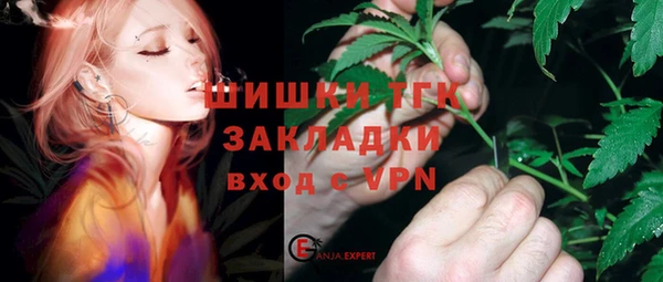 гидра Алексеевка