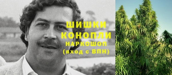 гидра Алексеевка