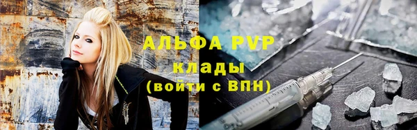 шишки Алзамай