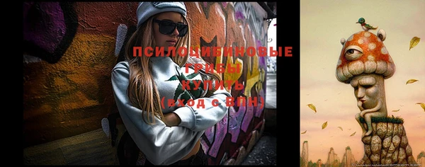 шишки Алзамай