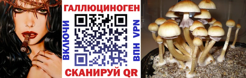 Галлюциногенные грибы Psilocybine cubensis  Купить закладки  Нижний Тагил 